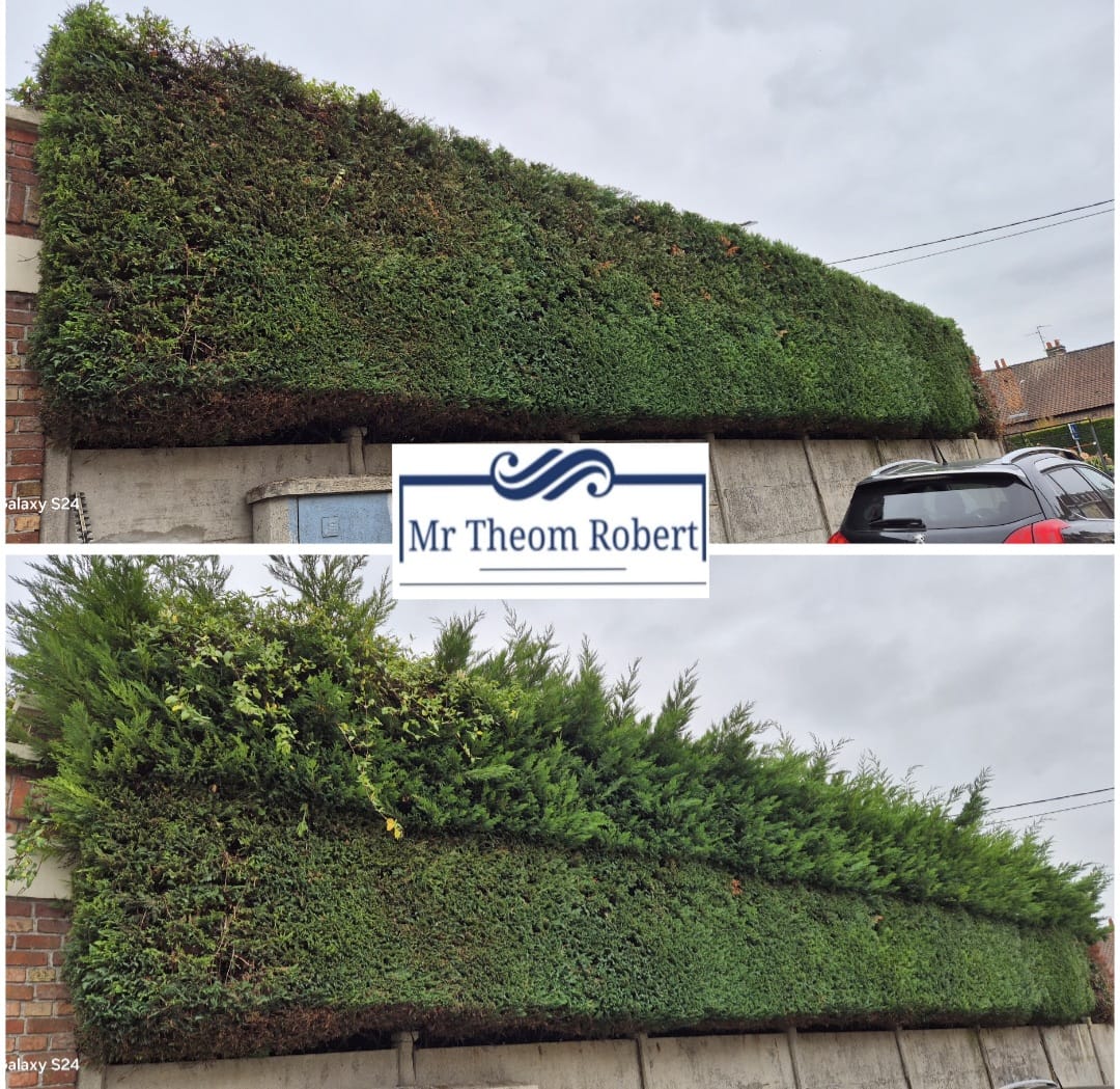 Taille de haies - Photo 7