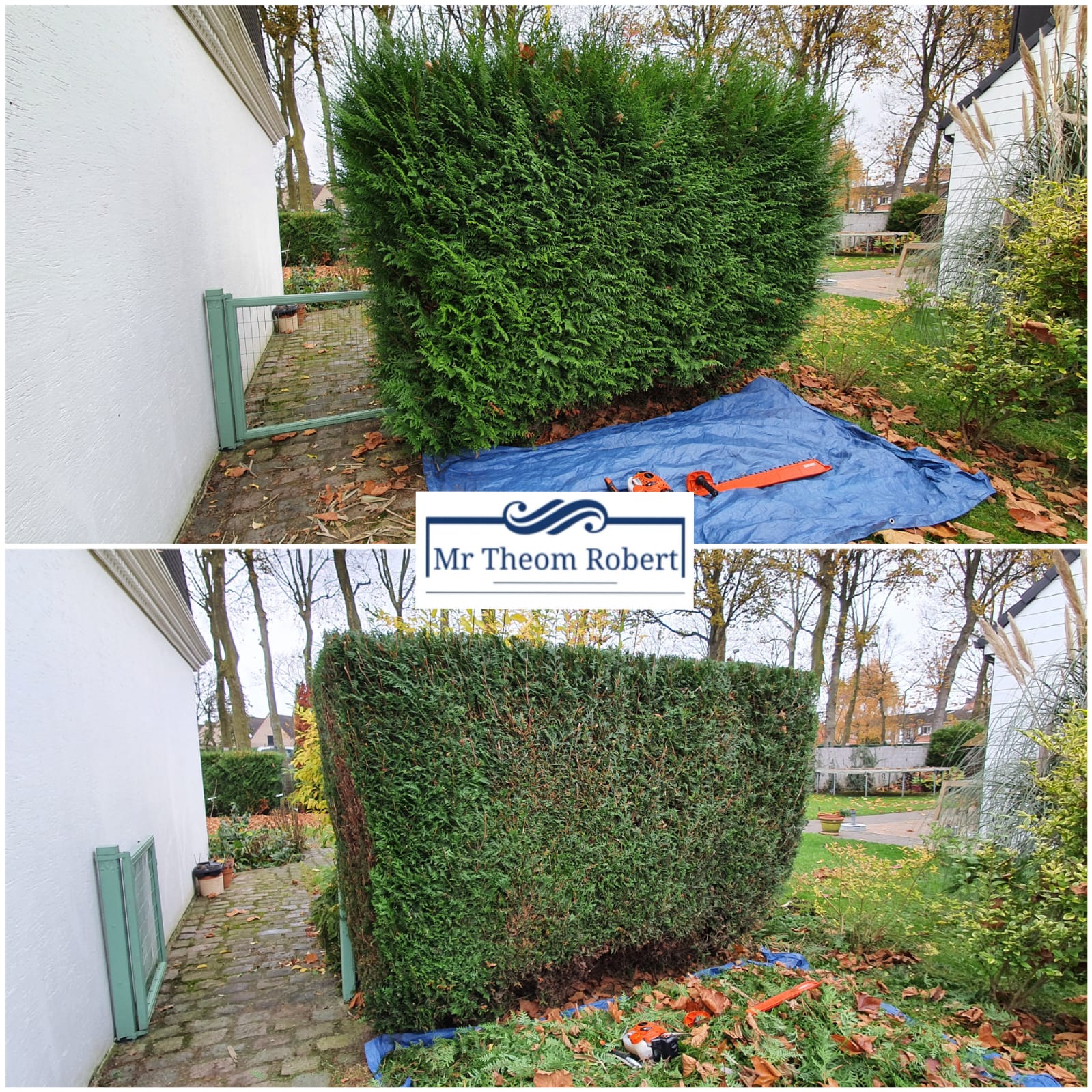 Taille de haies - Photo 6