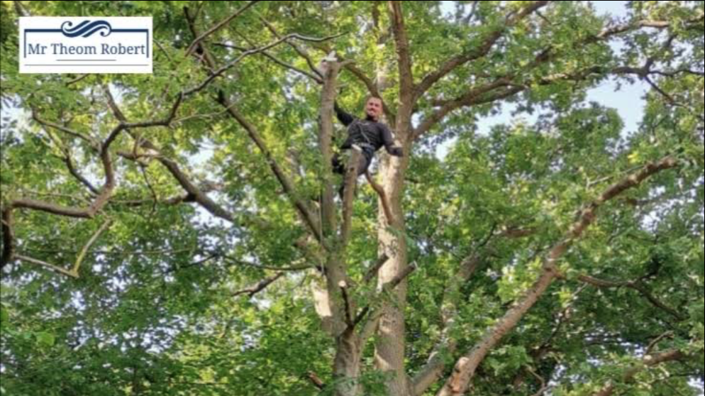 Rognage de souches - Photo 5